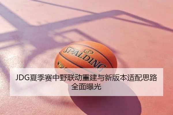 JDG夏季赛中野联动重建与新版本适配思路全面曝光