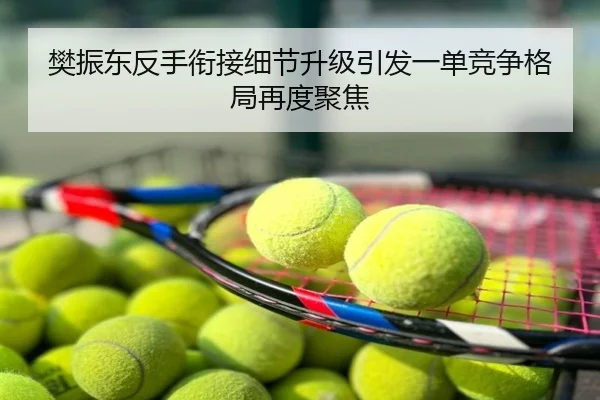 樊振东反手衔接细节升级引发一单竞争格局再度聚焦